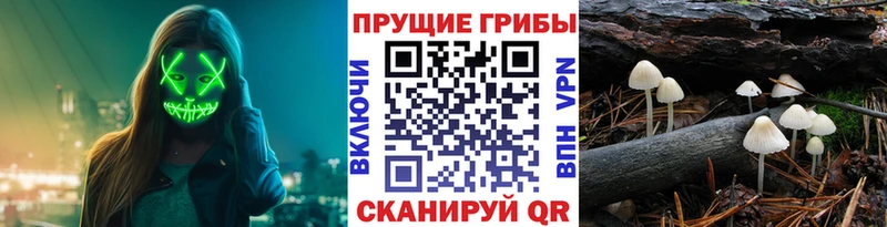 Галлюциногенные грибы Magic Shrooms Кемь
