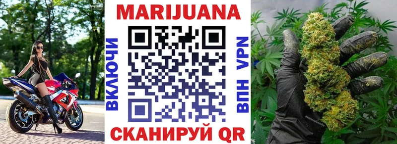 Купить где  Кемь  Бошки марихуана Amnesia 
